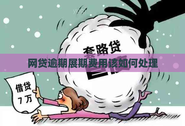 网贷逾期展期费用该如何处理