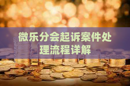 微乐分会起诉案件处理流程详解
