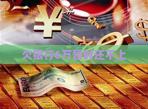 欠银行6万暂时还不上