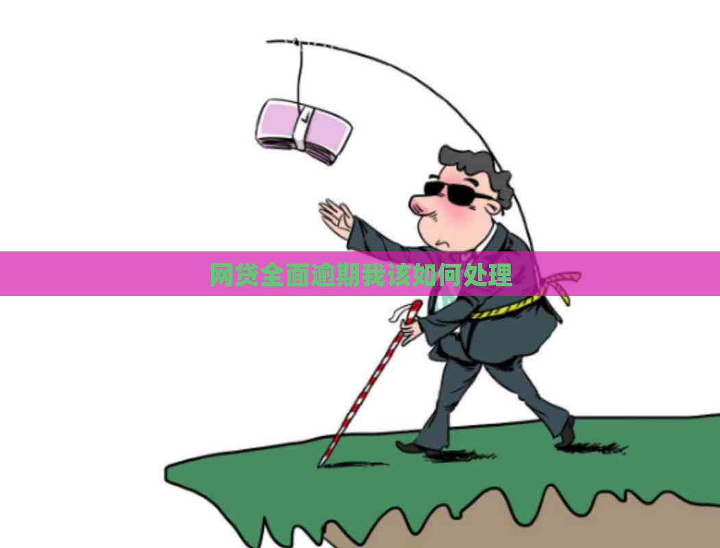 网贷全面逾期我该如何处理
