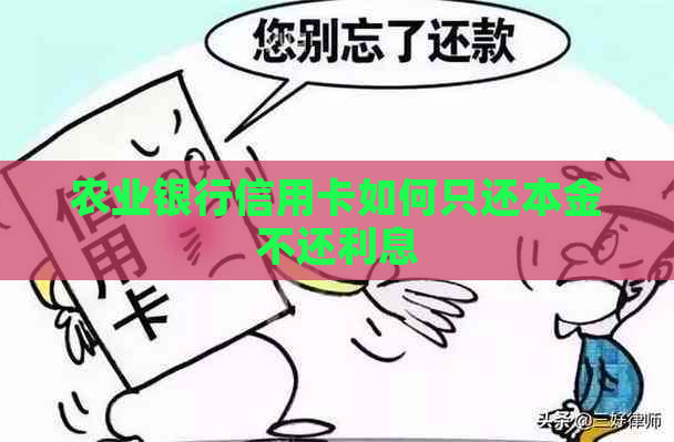 农业银行信用卡如何只还本金不还利息