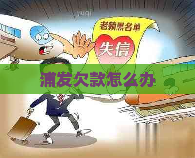 浦发欠款怎么办