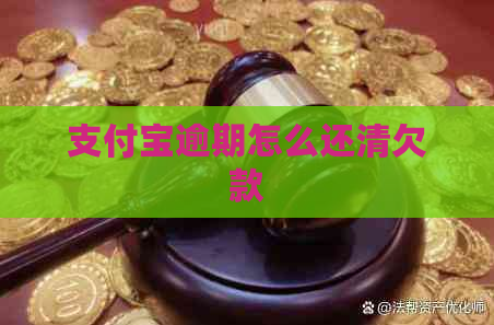 支付宝逾期怎么还清欠款