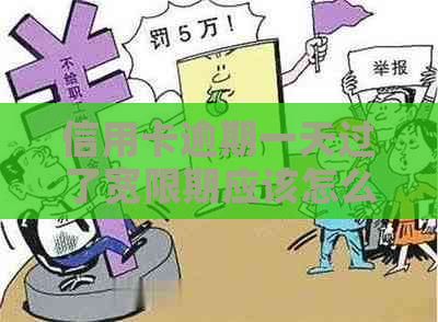 信用卡逾期一天过了宽限期应该怎么办