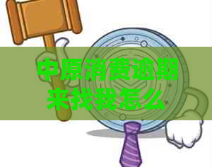 中原消费逾期来找我怎么办