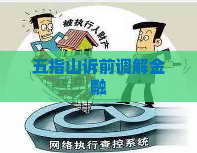 五指山诉前调解金融