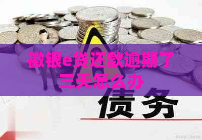 徽银e贷还款逾期了三天怎么办