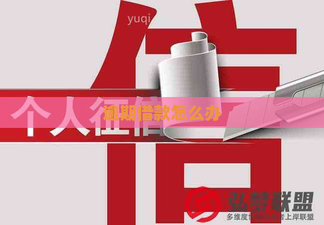 逾期借款怎么办