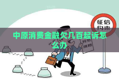 中原消费金融欠几百起诉怎么办