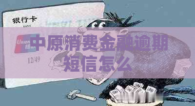 中原消费金融逾期短信怎么