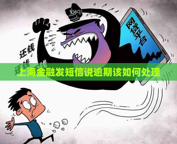 上海金融发短信说逾期该如何处理