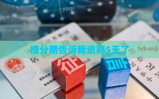 橙分期告诉我逾期5天了