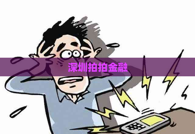 深圳拍拍金融
