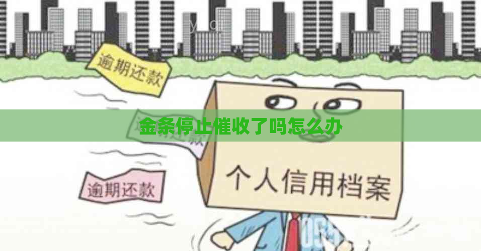 金条停止了吗怎么办