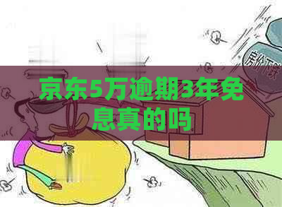 京东5万逾期3年免息真的吗
