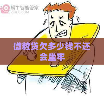 微粒贷欠多少钱不还会坐牢