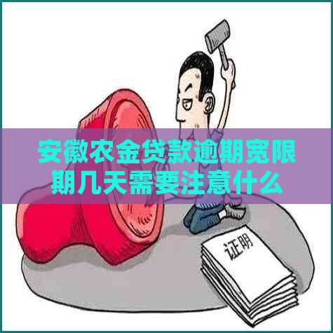 安徽农金贷款逾期宽限期几天需要注意什么