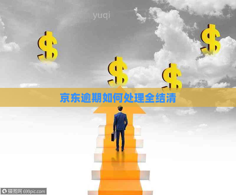 京东逾期如何处理全结清