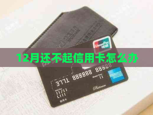 12月还不起信用卡怎么办