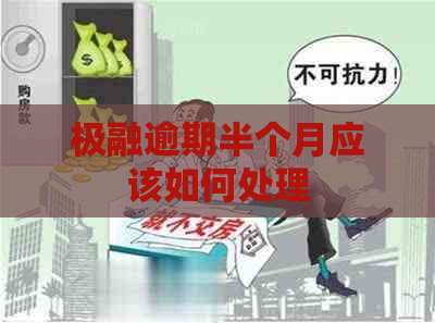 极融逾期半个月应该如何处理