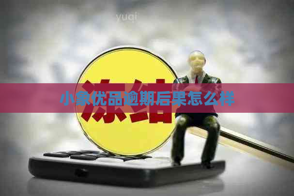 小象优品逾期后果怎么样