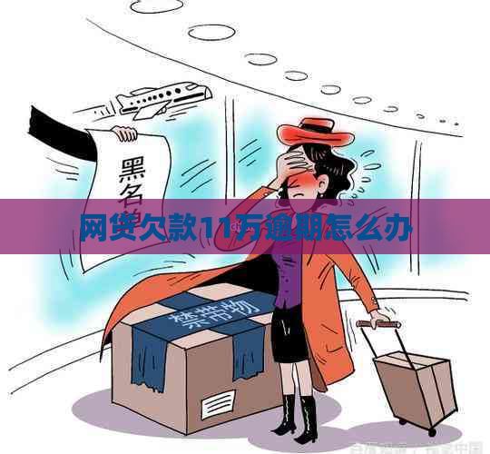 网贷欠款11万逾期怎么办