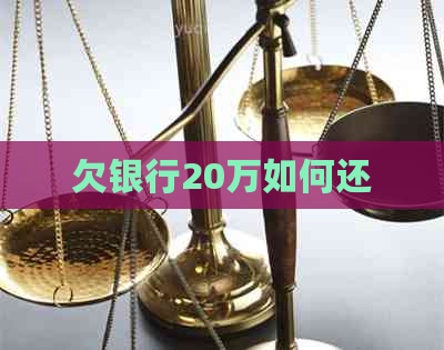 欠银行20万如何还