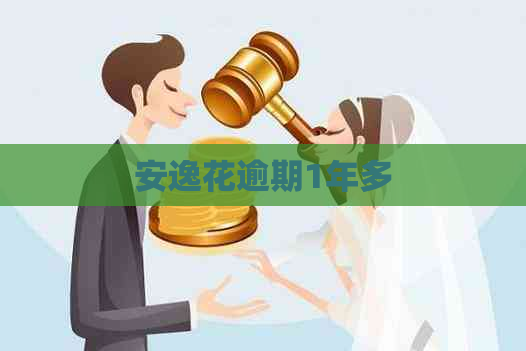 安逸花逾期1年多
