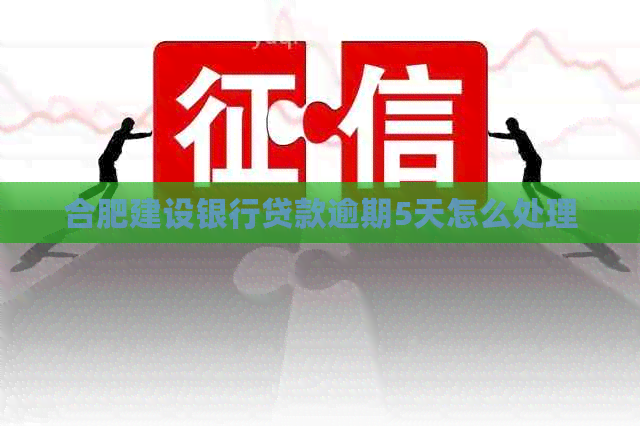 合肥建设银行贷款逾期5天怎么处理
