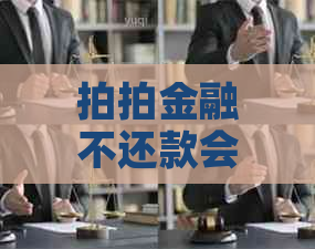 拍拍金融不还款会有什么后果