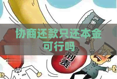 协商还款只还本金可行吗