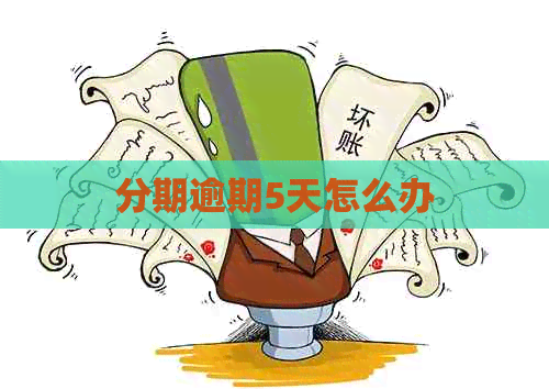 分期逾期5天怎么办