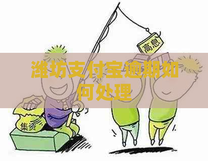潍坊支付宝逾期如何处理