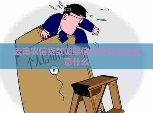 云南农信贷款逾期信息通知应该注意什么