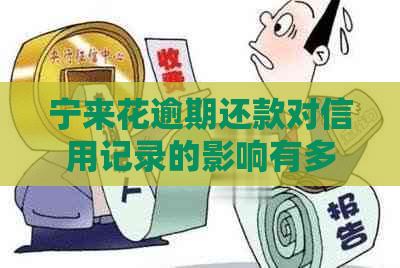 宁来花逾期还款对信用记录的影响有多大