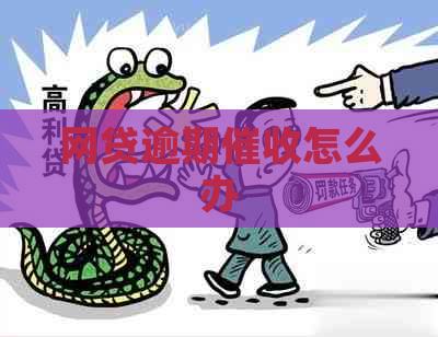 网贷逾期怎么办