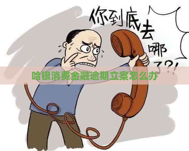 哈银消费金融逾期立案怎么办