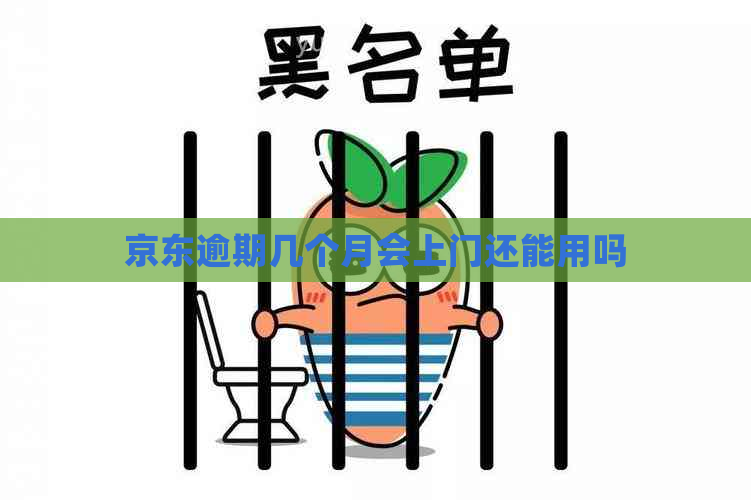 京东逾期几个月会上门还能用吗