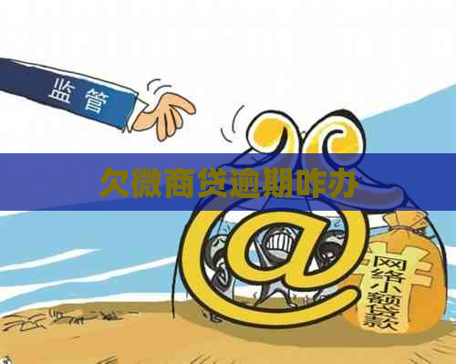 欠微商贷逾期咋办