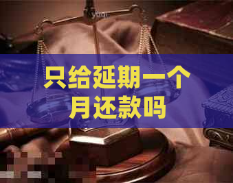 只给延期一个月还款吗