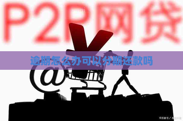 逾期怎么办可以分期还款吗