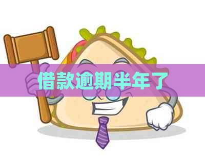 借款逾期半年了
