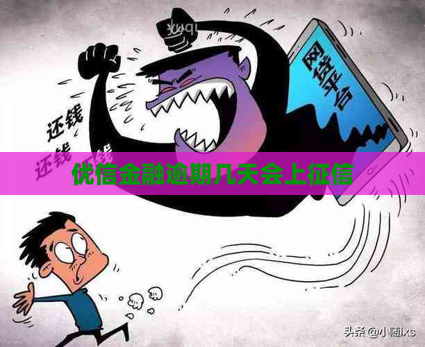 优信金融逾期几天会上