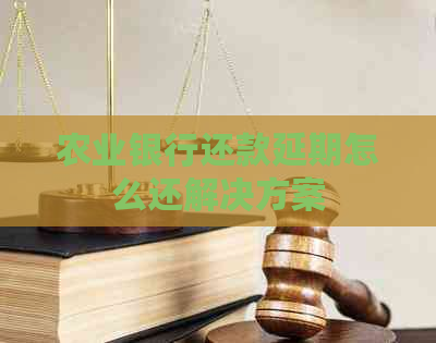 农业银行还款延期怎么还解决方案