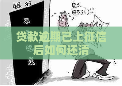 贷款逾期已上后如何还清