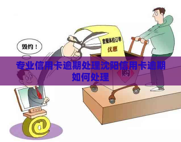 专业信用卡逾期处理沈阳信用卡逾期如何处理
