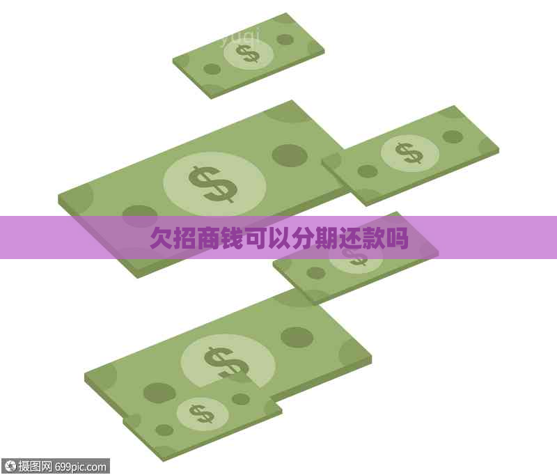 欠招商钱可以分期还款吗