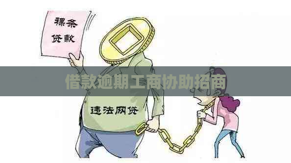 借款逾期工商协助招商