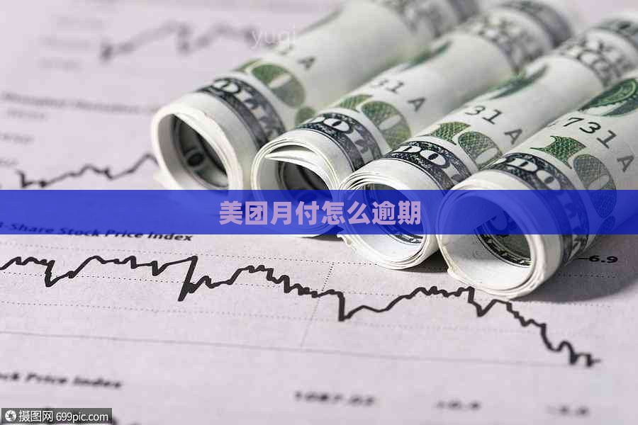 美团月付怎么逾期