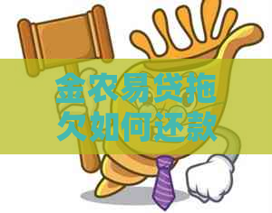 金农易贷拖欠如何还款才能解决问题